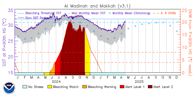 current SST time series