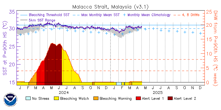 current SST time series