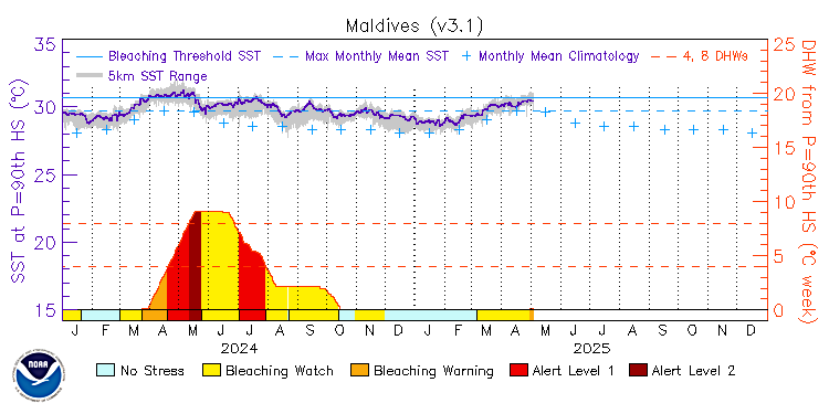 current SST time series