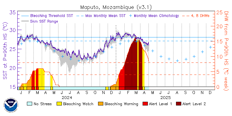 current SST time series