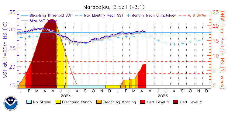 current SST time series