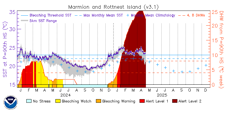 current SST time series