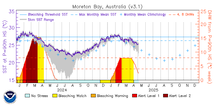 current SST time series