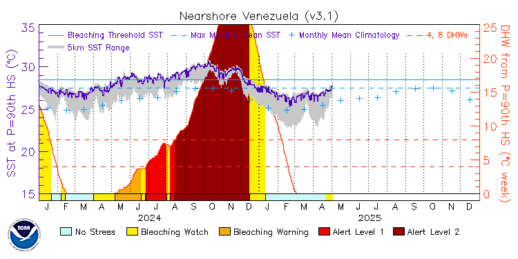 current SST time series