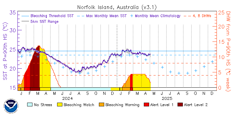 current SST time series