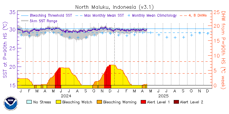 current SST time series