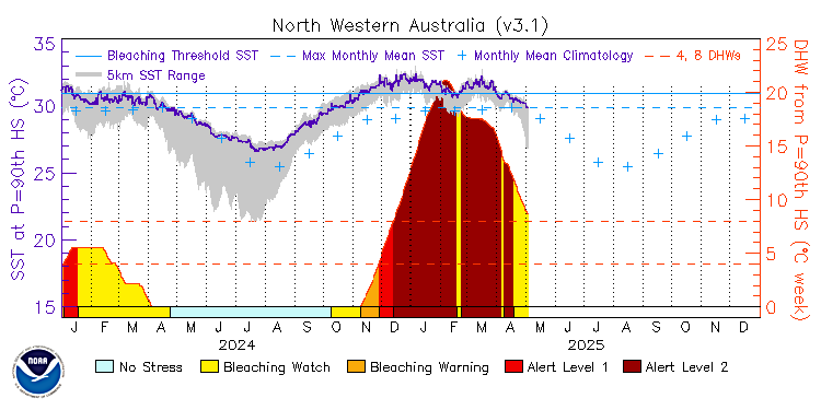 current SST time series