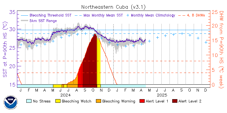 current SST time series