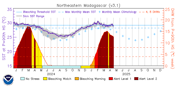 current SST time series