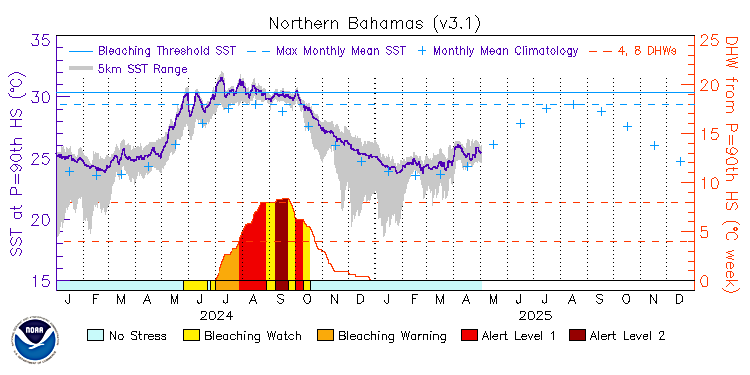 current SST time series