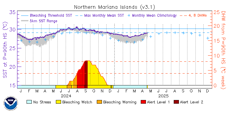 current SST time series