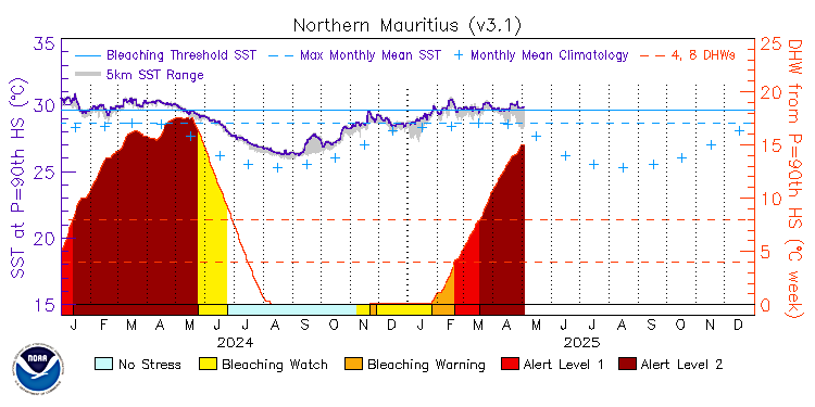 current SST time series