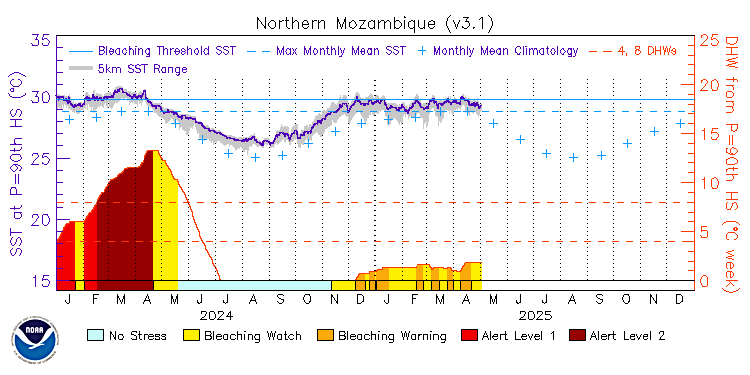 current SST time series