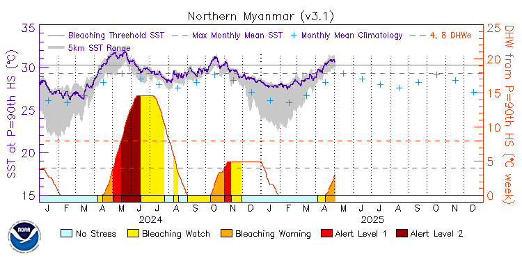 current SST time series