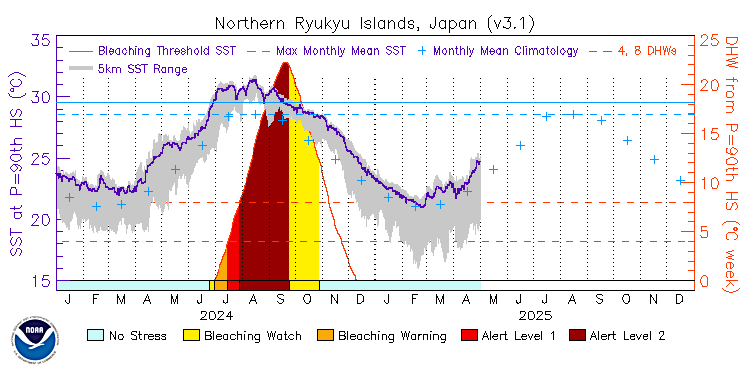 current SST time series