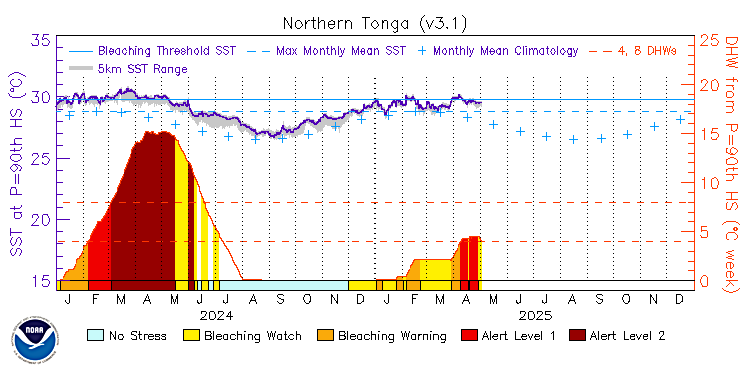 current SST time series