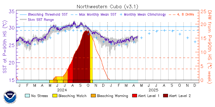 current SST time series