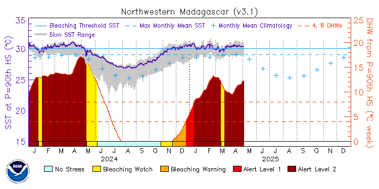 current SST time series