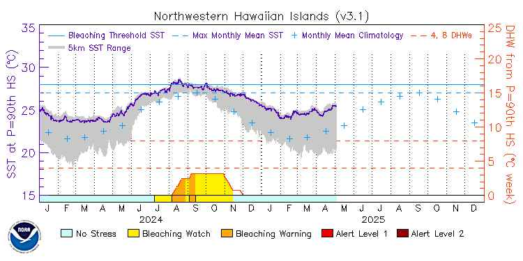 current SST time series