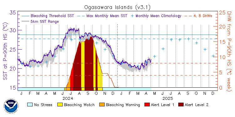 current SST time series