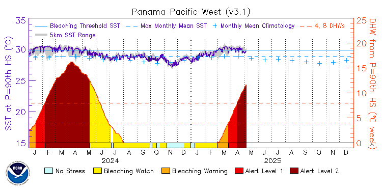 current SST time series