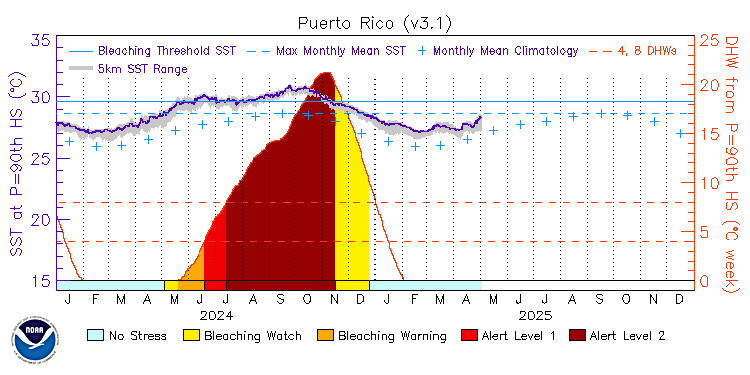 current SST time series