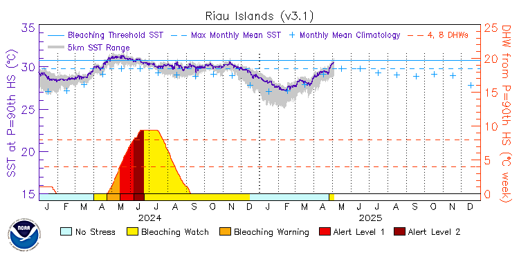 current SST time series