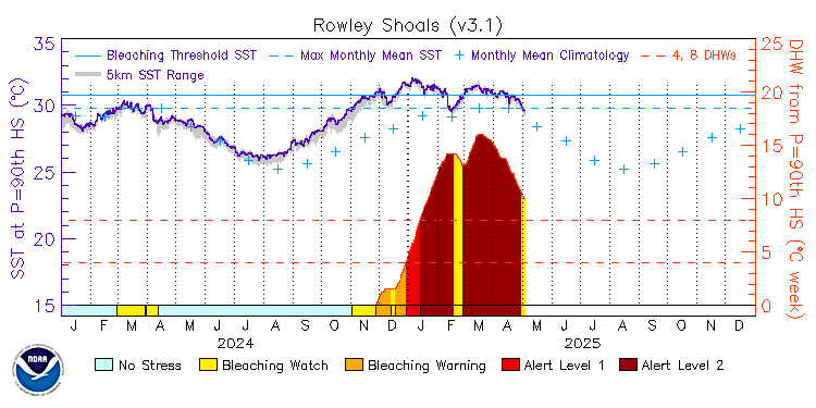 CRW Time Series Image