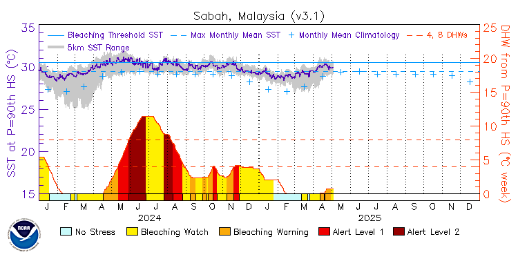 current SST time series