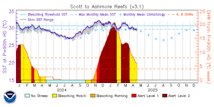 current SST time series