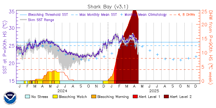 current SST time series