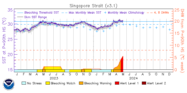 current SST time series