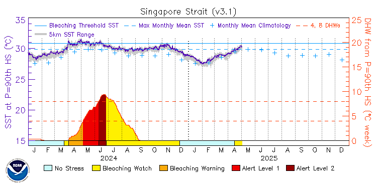 current SST time series