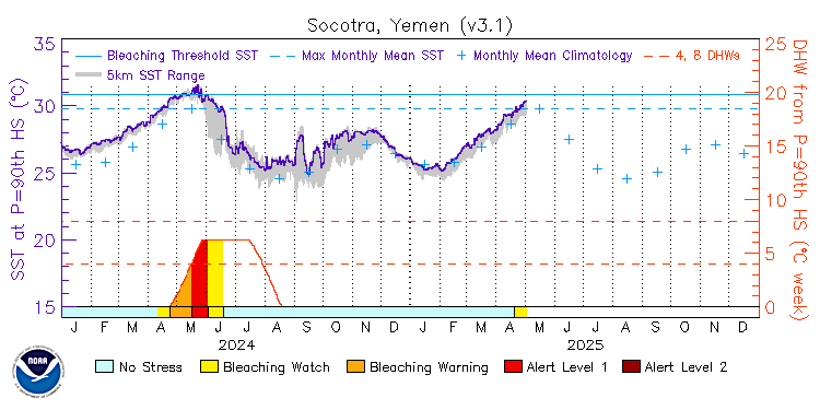 current SST time series