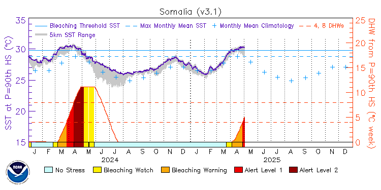 current SST time series