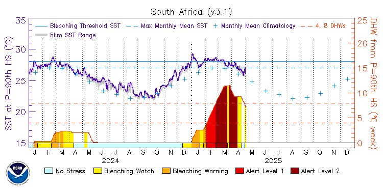 current SST time series