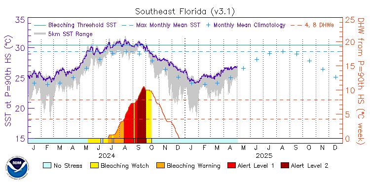 current SST time series