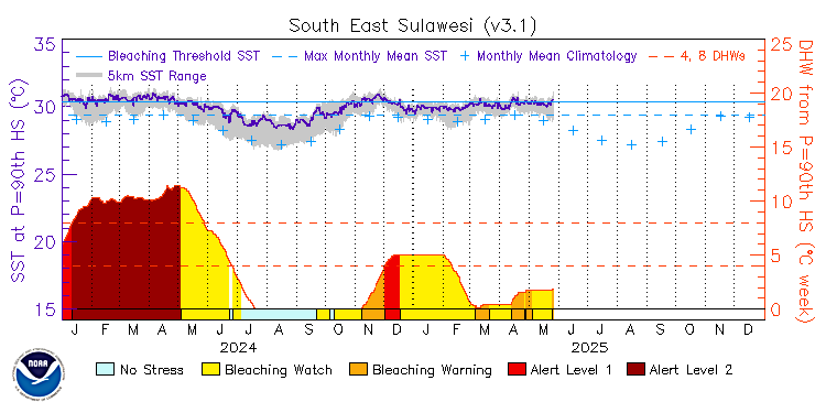 current SST time series