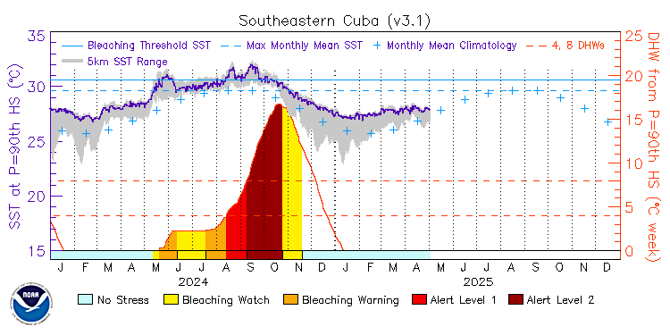 current SST time series