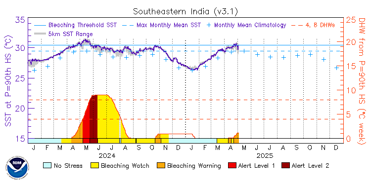 current SST time series