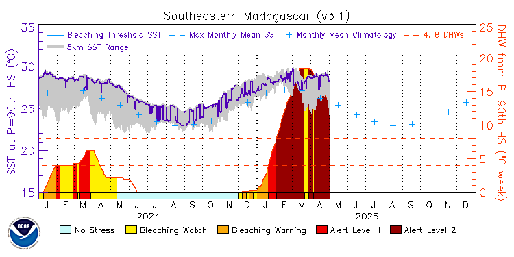 current SST time series