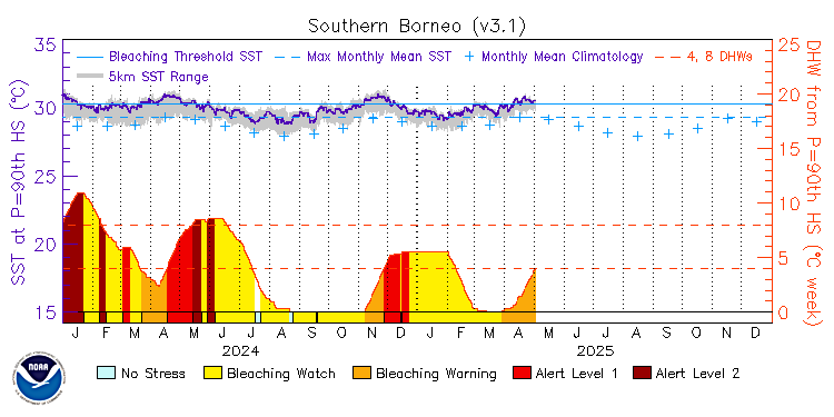 current SST time series