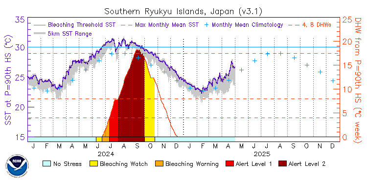 current SST time series