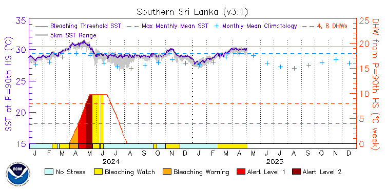 current SST time series