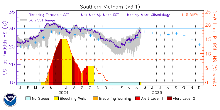 current SST time series