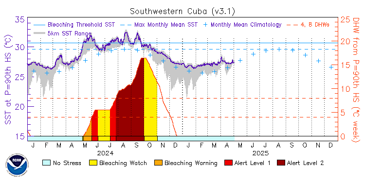 current SST time series