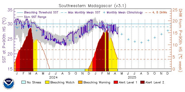 current SST time series