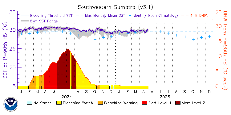 current SST time series