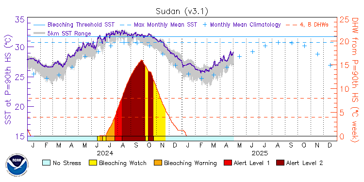 current SST time series