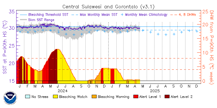 current SST time series